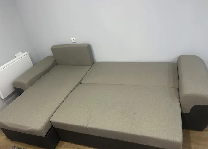 Agreable Robertsau Appartement