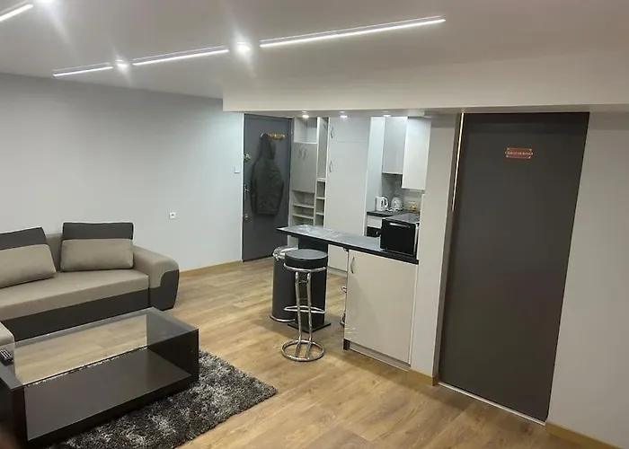 Agreable Robertsau Appartement