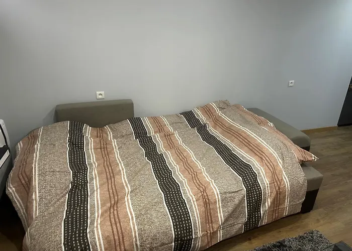 Appartement Agreable Robertsau *